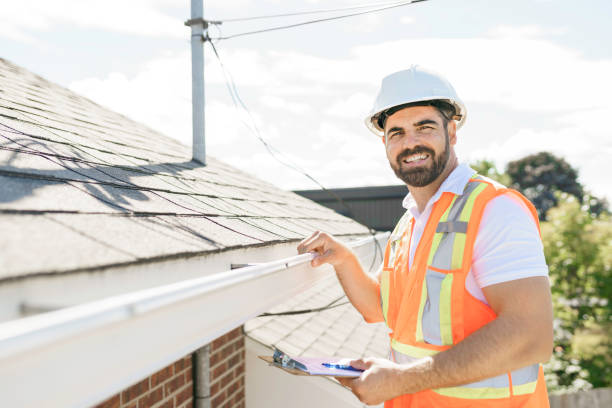 Best Flat Roof Repair Services  in Halls, TN