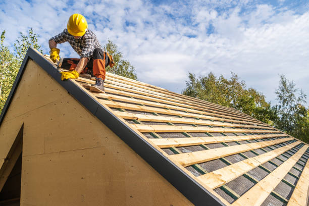Best Roof Gutter Cleaning  in Halls, TN