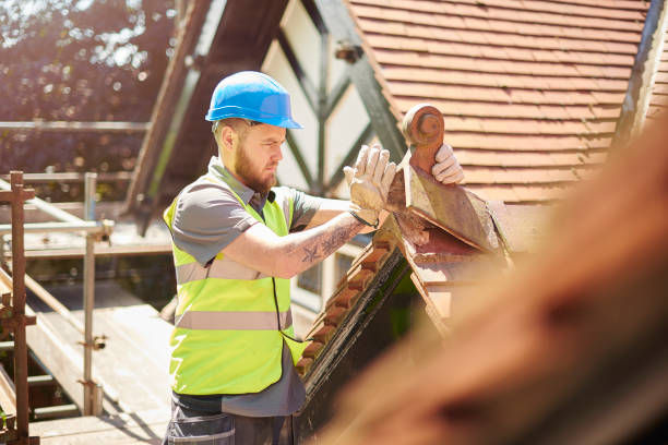 Best Commercial Roofing Services  in Halls, TN