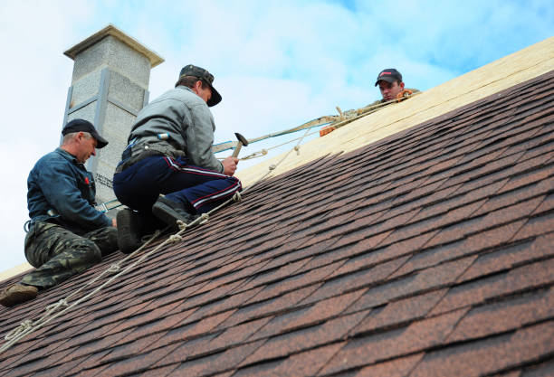 Best Slate Roofing Contractor  in Halls, TN